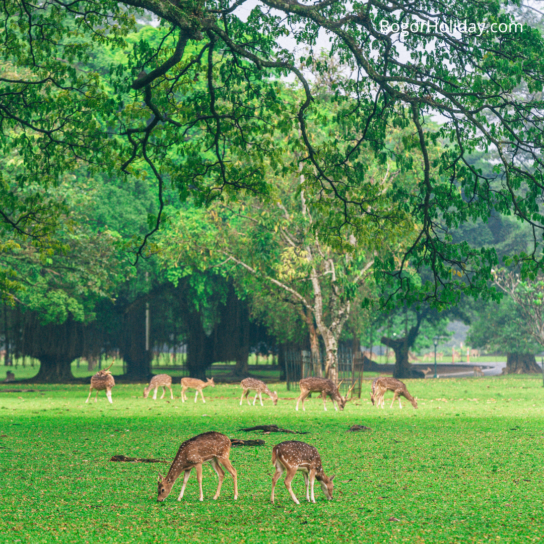 Thumbnail - Nature & Outdoors